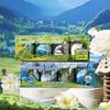Cusutul și lucrul manual – Scrapbooking