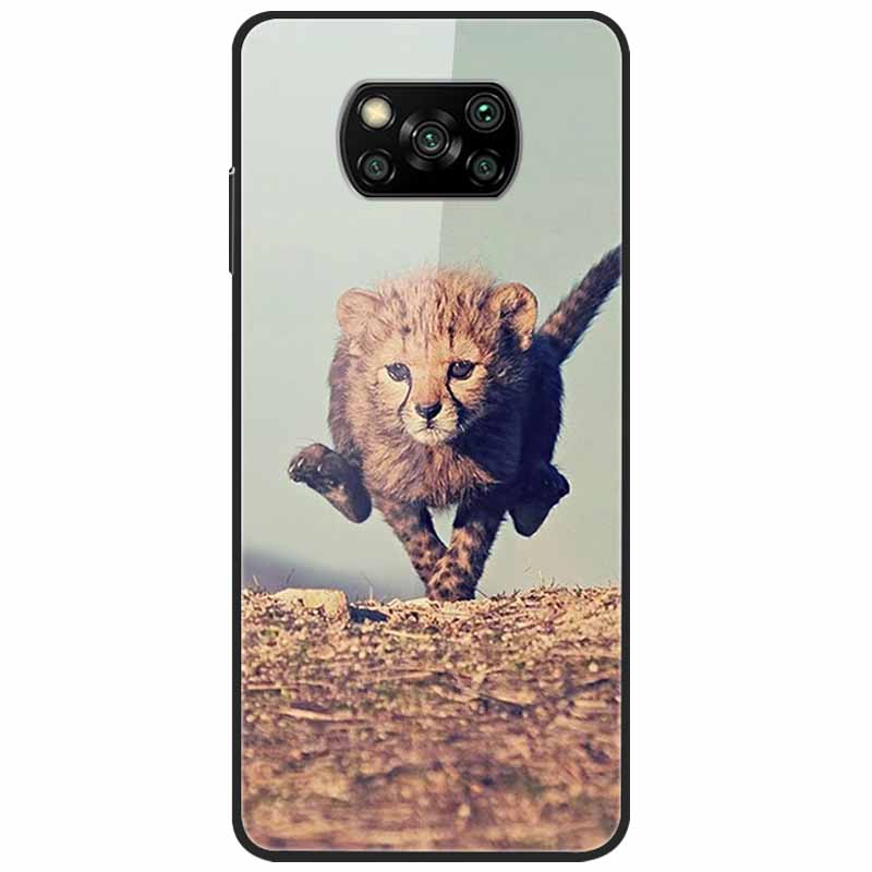 Etui na Poco X3 Pro Modne Urocze Szkło Hartowane Luksusowe Pokrowce Coque dla Xiaomi Poco X3 NFC Etui PocoX3 X 3 Zderzak Ochronny