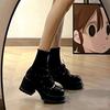 2 Autumn and winter velvet black platform small leather shoes women's heightened thick heel Mary Jane shoes muffin high heel
