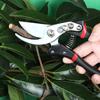 Garden Scissors SK5 Steel Horticultural Scissors for Garden Tree Rough Branch Pruning Fruit Picking Floriculture Hand Tools