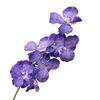 9 Heads Vanda Orchids Artificial Flowers Faux Silk Flowers for Wedding Home Decor Photography Props