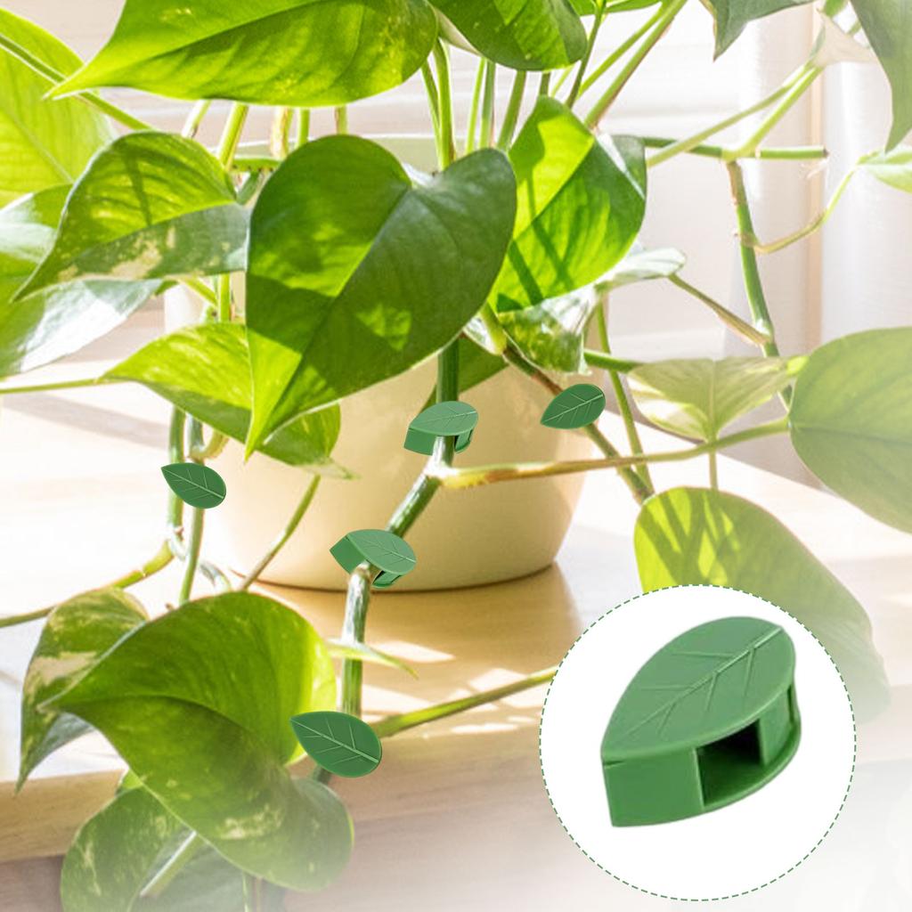 Plant Clips, Pothos Vine Fixing Clips, Plant Growth Clips, Garden Clips, Plant Climbing Wall Fixing Clips