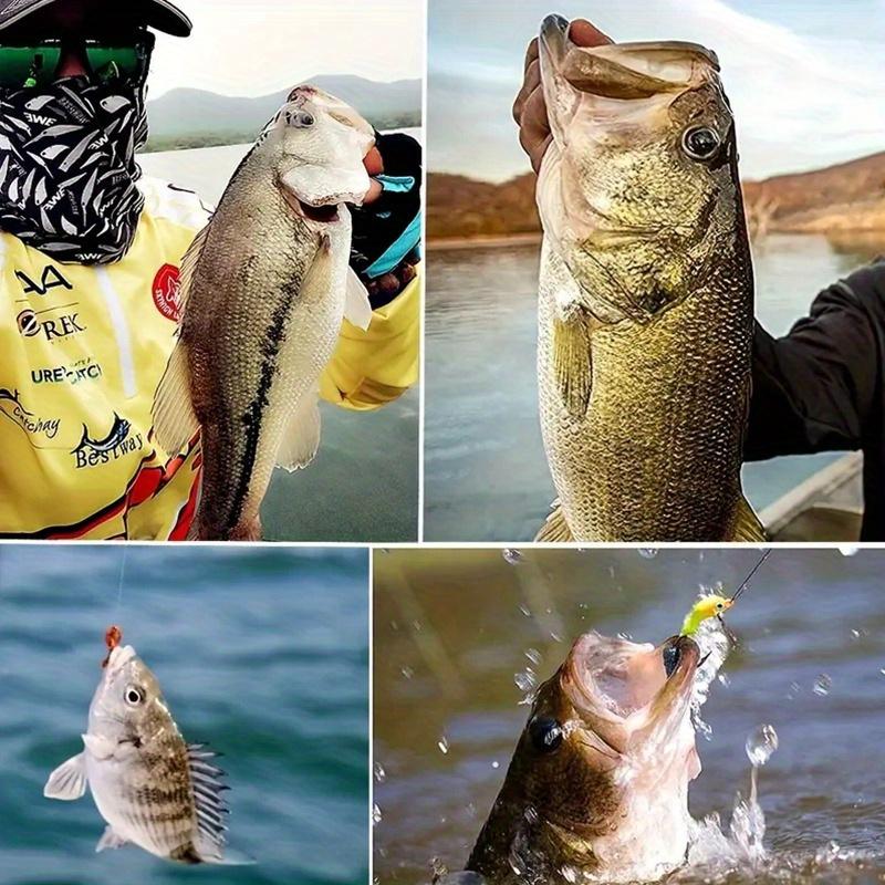 5pcs Swimbait Jig Heads for Freshwater and Saltwater Fishing - Minnow Fish Head Design for Enhanced Attraction and Hooking Power