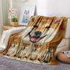 1 Stück Shiba Inu Bullterrier Druck Flanelldecke, Hohe Qualität, Bequem für alle Jahreszeiten, Heimdekoration, Wärme und Komfort, Perfekt für Geschenke