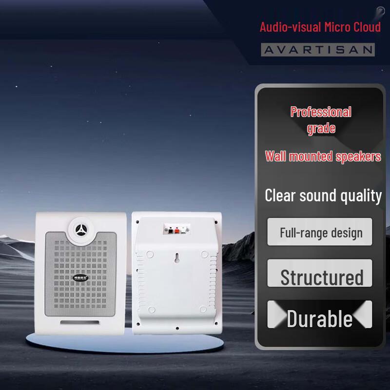Indoor Wall-Mounted Conference Speaker