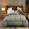Antibacterial Class A Cotton Quilt Winter 6kg Quilt Cotton Thicken Warm Spring Autumn Comforter Single Double Winter Space Quilt