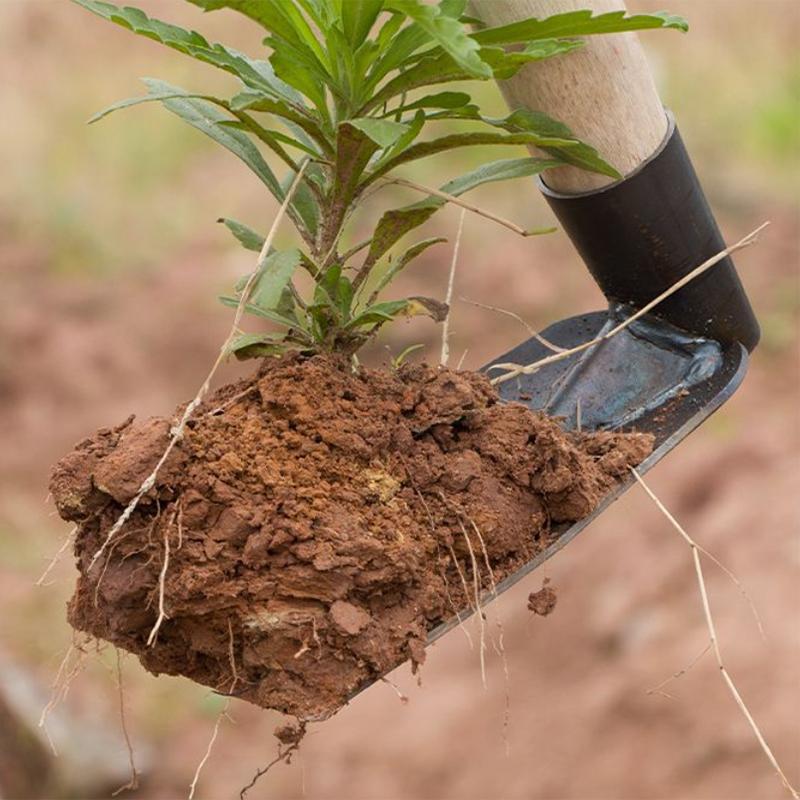 Small Hoe For Digging Soil Garden Hoe Agricultural Hoe Household Outdoor Farming Tools For Planting Vegetables And Flowers