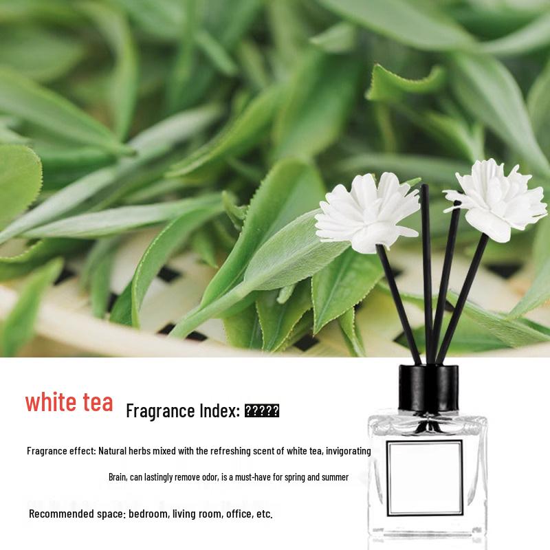 Flameless Aromatherapy Essential Oil Air Freshener for Home and Bathroom