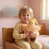 Cookie Star Plush Pillow