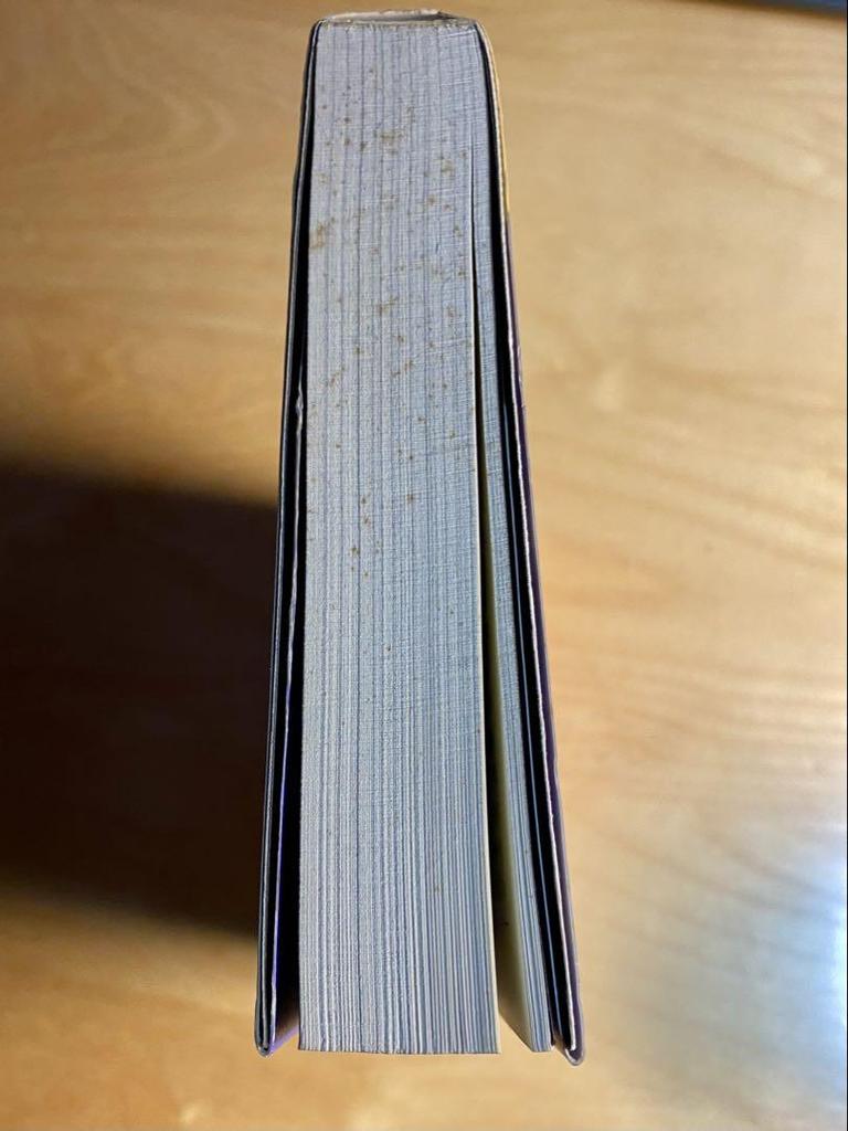 [USED] NICO Nico The Legendary Diva Published in 1997 with Obi First Edition UPLINK Rare