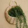Handgeweven Rotan Mand, Hangende Bloemenmand met Handvat, Rustieke Plantenmand Pot voor Binnen Buiten Wanddecoratie