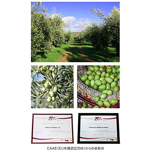 DHC Olive Virgin Oil (30ml)