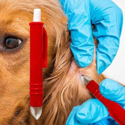Pet Cleaning Supplies Clean And Remove Flea Clamps Dog Cat PestEliminator Large, Small, Medium Combo Pet Accessories