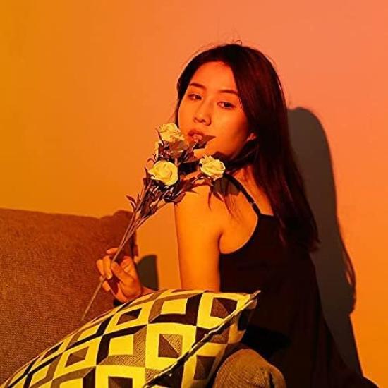 GreenGee Sunset Light, Rainbow Sunset Light, Projector Light, Transforms Sunsets Into 16 Different Lighting Effects, Nighttime Ambience Light,