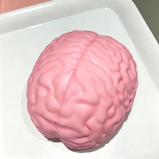 1/2 Stück Riesiges Simulations-Gehirn Knetspielzeug Stressabbau Rosa Gehirn Sensorisches Spielzeug Dekompression Langsam aufsteigend Realistisches Gehirn Fidget-Spielzeug