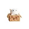 Lovely Box Cartoon Cat Miniature Landscape Decor Bonsai Resin Crafts Ornament