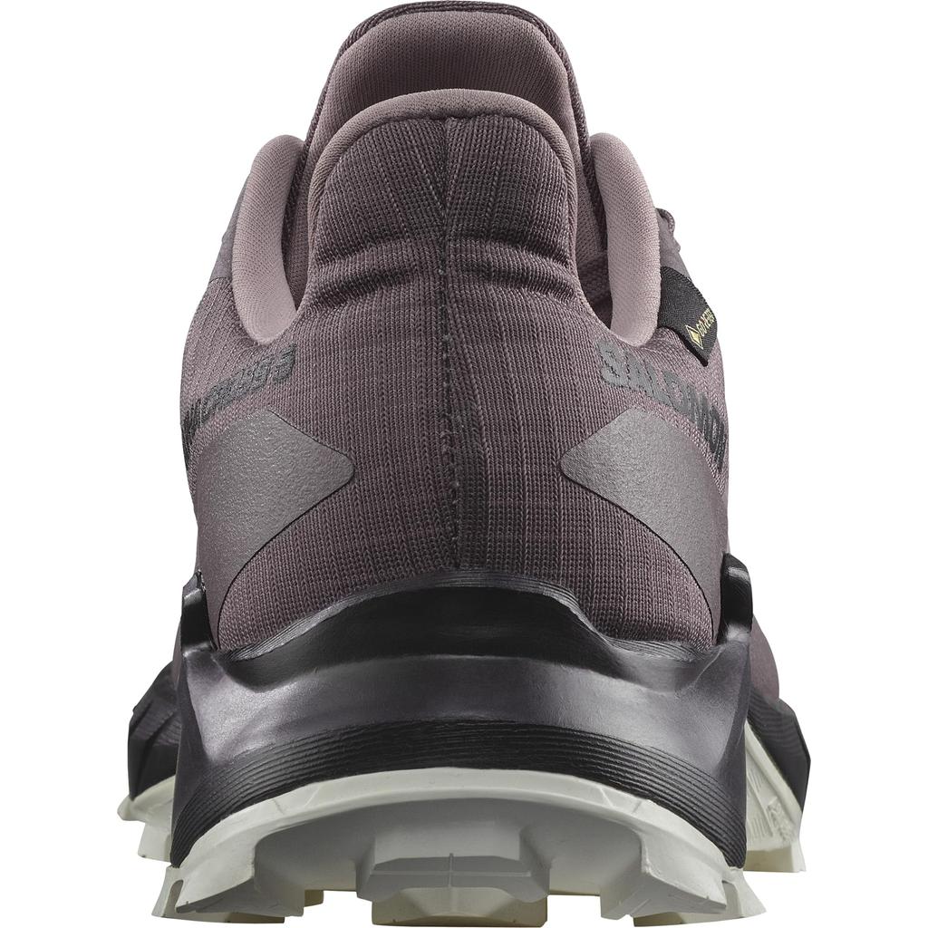 Salomon ALPHACROSS 5 Trail Running Size Cm GORE-TEX Women's Shoes, L47311000, Moonscape/Black/White, 25.0