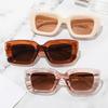 New Fashion Cat Eye Sunglasses Women Men Pc Black Lens Frame Vintage Simple Style Brand Designer Casual Eyewear UV400