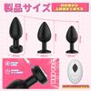 Sweetwinds Anal Anal Set of 3 Vibration Modes Remote Anal Anal For Beginners to USB Premium Adult Toy Plug, Vibrator, [10 + Control] Expansion,