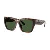 Gradient Design Plastic Cat Eye Sunglasses Women's Black Brown
