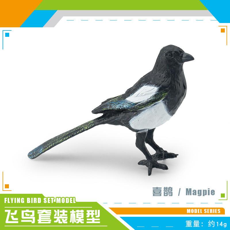 Exquisite Realistic Bird Models In Pvc Material Showcasing Colorful Parrots Owls And Songbirds