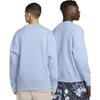 Nike ACG Therma-Fit Tuff Fleece Crewneck Light Blue/White Unisex Streetwear DX9611-479