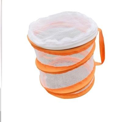 Insect Catching Tool Insect Net Feeding Cage Super Immortal Outdoor Children'S Insect Observation Box Butterfly Pupa Student