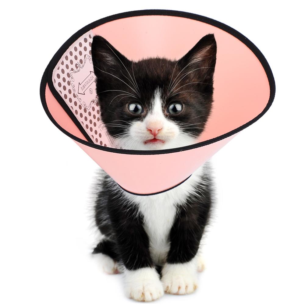 

ABS Matte TwoSided Hook& Pet Neck Collar Guard Collar (Pink No. 4)