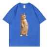 Funny Cat With Knife Meme Tshirt Unisex Unisex Clothing High Street Fashion Trend Tshirts Summer Casual Loose Short Sleeve T Shirt