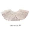 Embroidery Collar False Collar Dickey Collar Lace Collar Detachable Collar