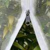 Agricultural Insect Proof Mesh Orchard Plants Trees Bird Block Nets Greenhouse Vegetable Planting Transparent Breathable Cover