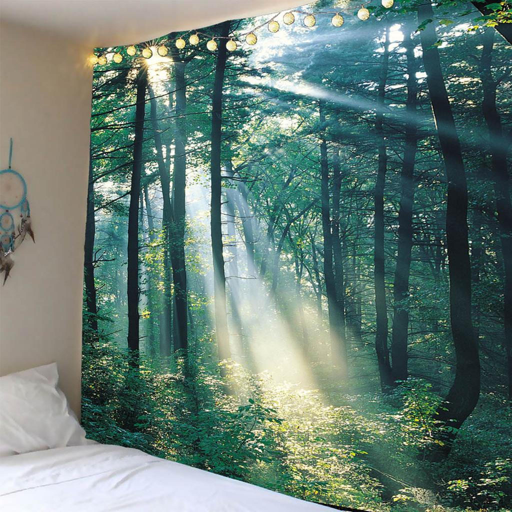 

Коллекция декора, Лесная тропа в горах с видом на дикую природу вдалеке, Гостиная B