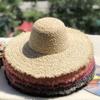 Natural Lafite Straw Hat Sunscreen Large Brim Beach Hat Trendy Foreign Style Color Fur Edge Dome UV Protection Sun Visor