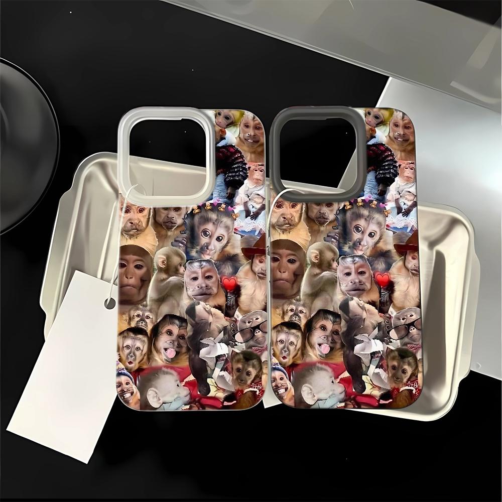 Monkeys Are Funny Phone Case For IPhone 17 16 15 14 Plus 13 12 11 Pro MAX 17 Air Screen Protector Casing Shockproof Phone Cover