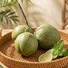 Coco Artificial Verde Fruta Realista Adorno Cocos Simulados Decoración de Granja