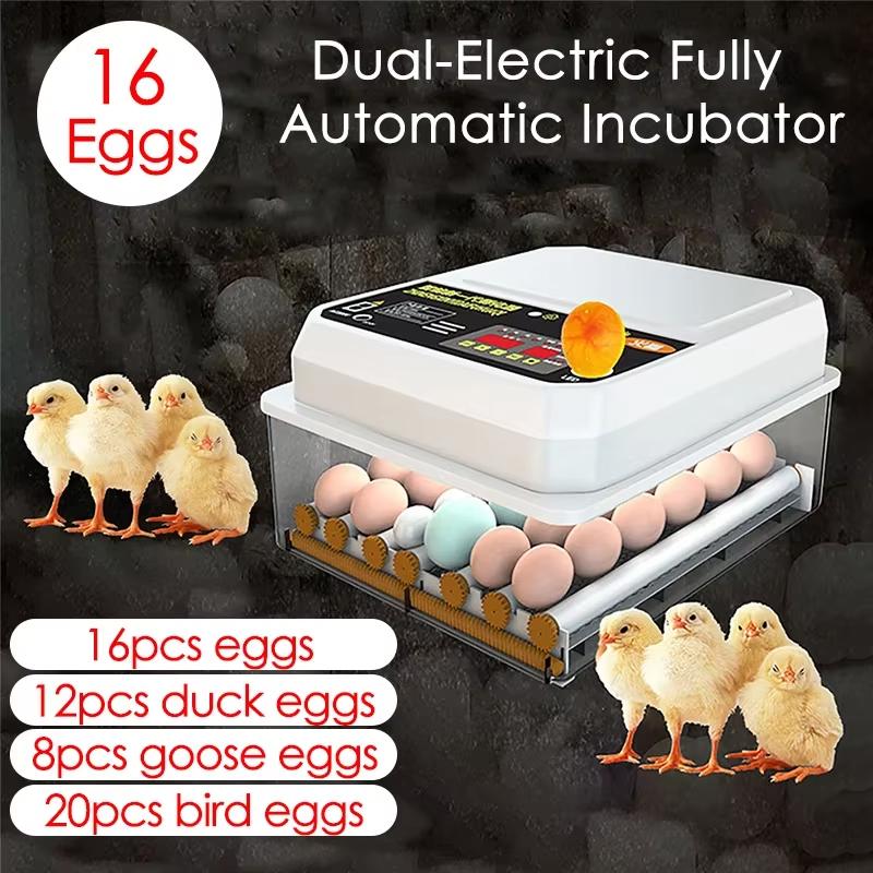 16 Eggs Dual-Electric Mini Household Brooder for Chicken Goose Duck Birds Farm Poultry Fully Automatic Turning Egg Incubator