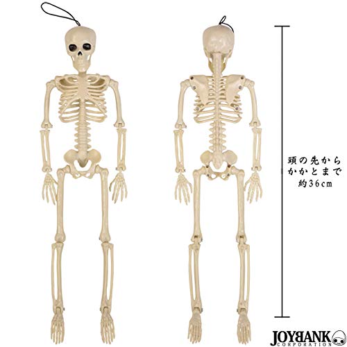Mode della Casa Skeleton Figure 36cm Toy Skeleton Skull Interior Horror Halloween Goods (Regular Item)