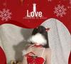 Red Hot Christmas Lingerie: Women's Erotic Hollow-Out Nightgown