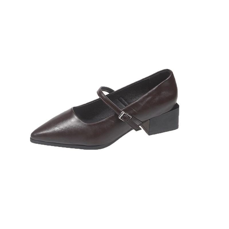 French pointed thick heel with Mary Jane shoes women's 2025 summer new shallow single shoes evening shoes small leather shoes