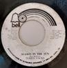 7inch Record TERRY JACKS  Seasons In The Sun  Put The Bone I 45432 Bell Records 1973 Jamaica Rock Used