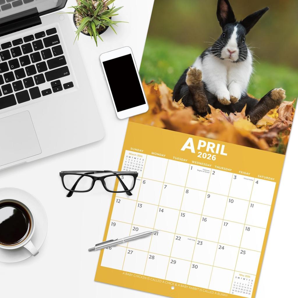 2026 Calendar - 12 Month Baby Animals Wall Calendar 2026 from January 2026 - December 2026, 12 x 12 inches, Thick & Sturdy Paper, 12" x 24" (Open),