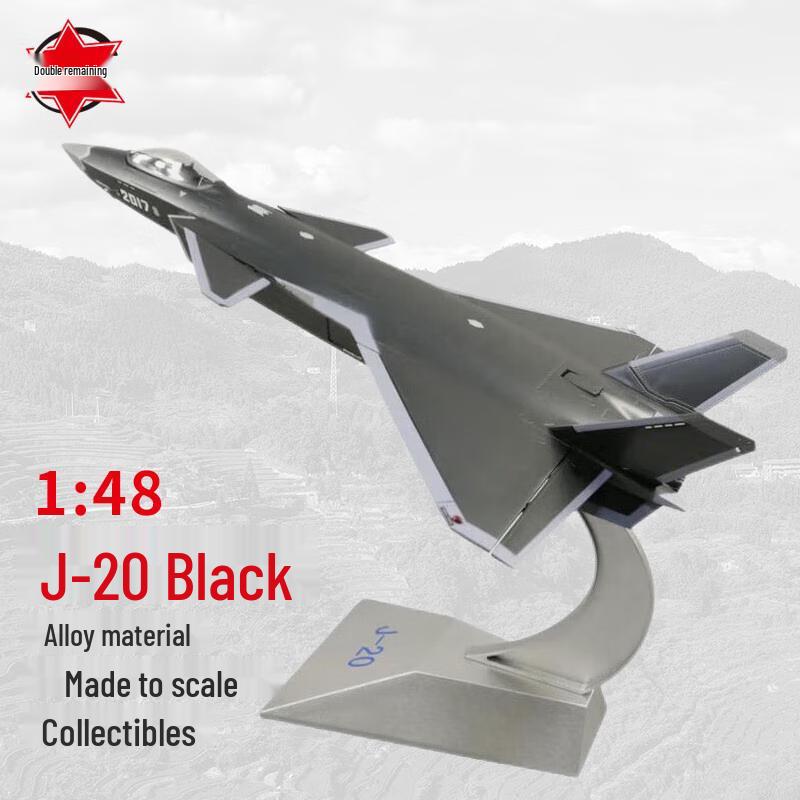 J-20 Fighter Jet Aircraft Model (1:48 Scale)