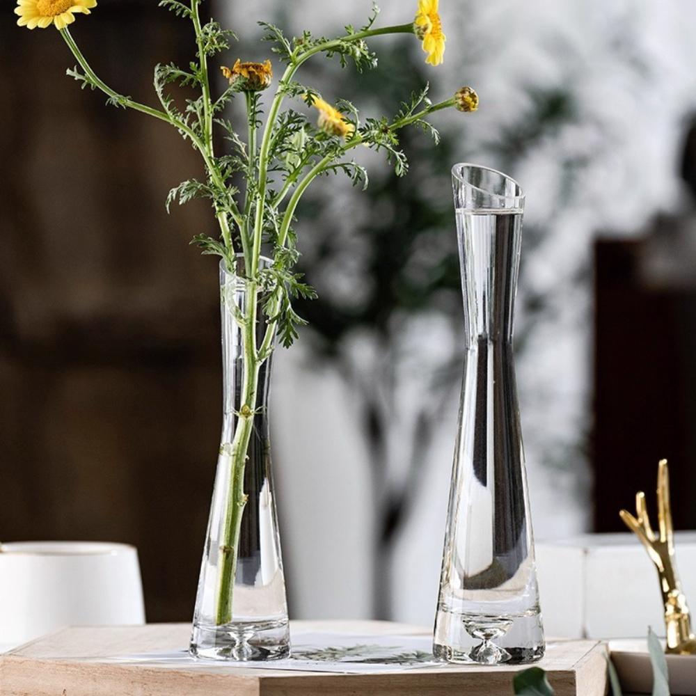 Creative European Style Transparent Glass Slanted Mouth Artistic Simple Vase Hydroponics Plant Flower VaseTable Home Decor
