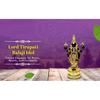 Lord Tirupati Balaji Gold Plated Black Terracotta Idol for Car Dashboard | Vishnu Ji Idol for Office Desk | Venkateswara Swamy Murti for Home |