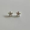 Petit Star Earring