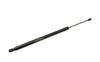Ft94807 Fast Trunk Gas Spring /R