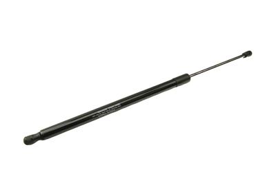 Ft94807 Fast Trunk Gas Spring /R