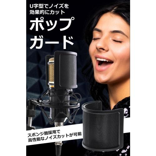 Pop filter, microphone guard, pop blocker, two-layer construction with metal filter and sponge filter (washable/replaceable sponge), 5GOSTORE