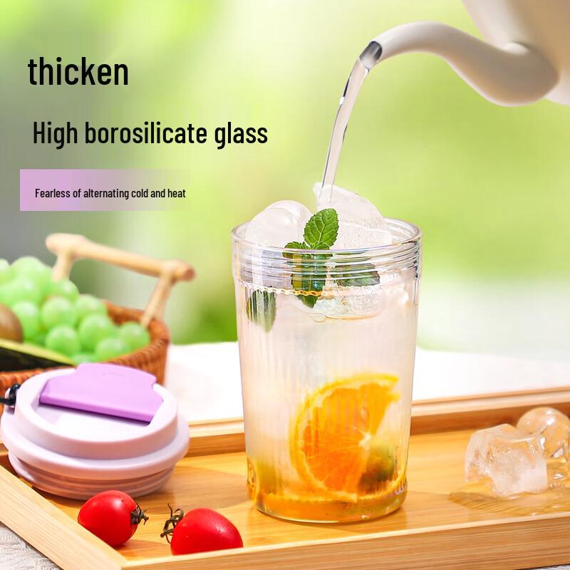GiNT High Borosilicate Portable Glass Water Cup