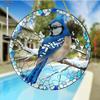 Charming Blue Jay Acrylic Sun Catcher - Winter Wonderland Window Hanging, Decorative Art for Home & Garden, Ideal Gift for Bird Enthusiasts & Nature L